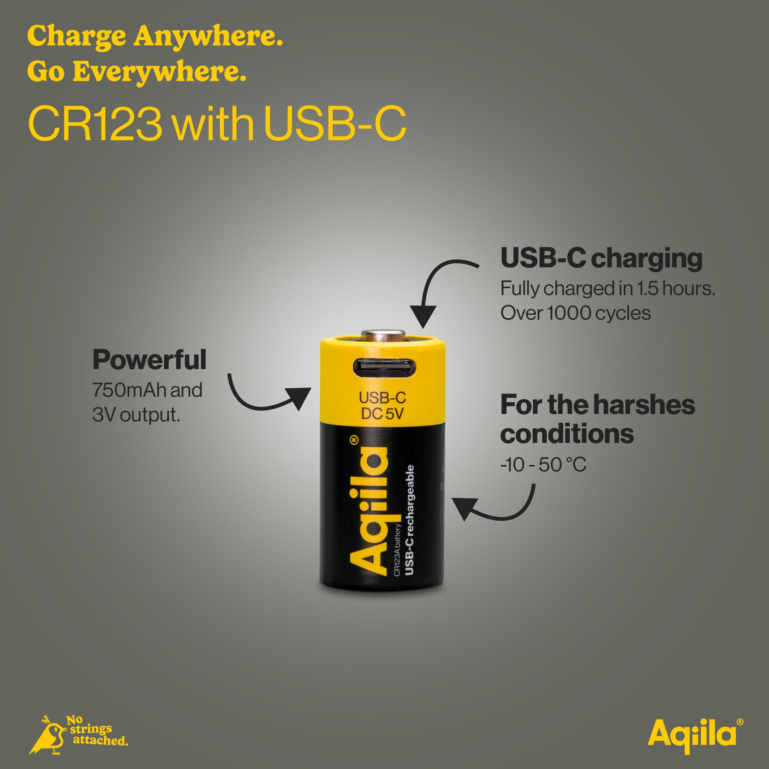 Aqiila Rechargeable USB-C Batteries 123A 750mAh 2-P