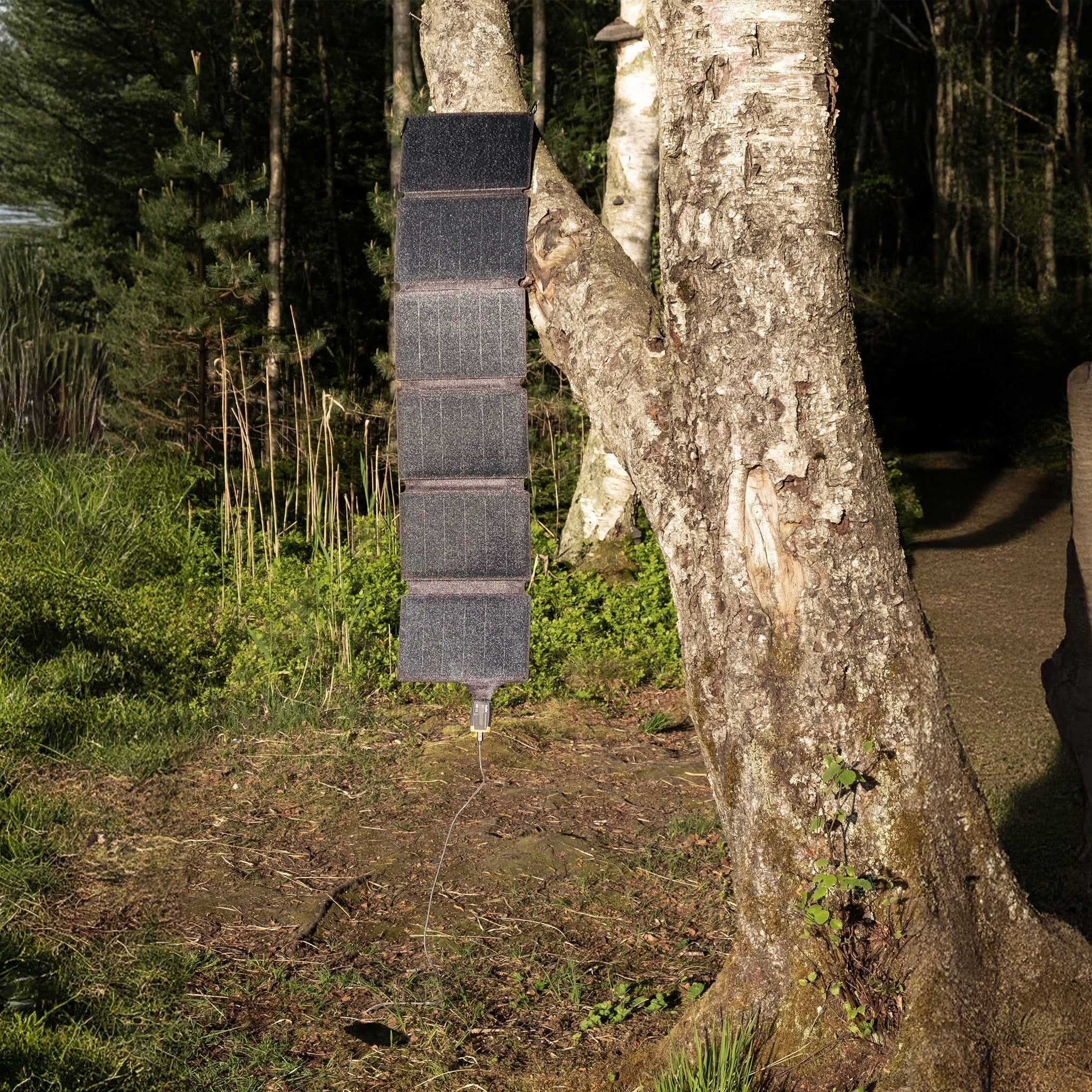 Aqiila Sunbird P56 solcellsladdare USB-C 56W svart